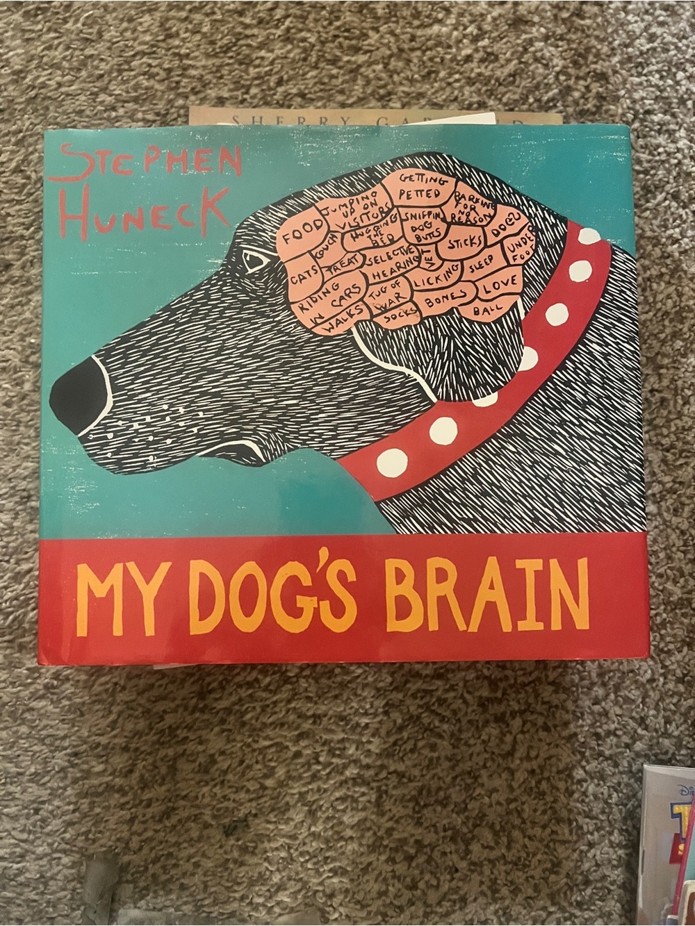 My Dog's Brain kids book